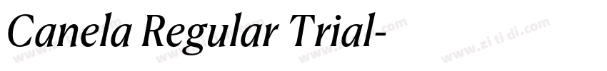 Canela Regular Trial字体转换